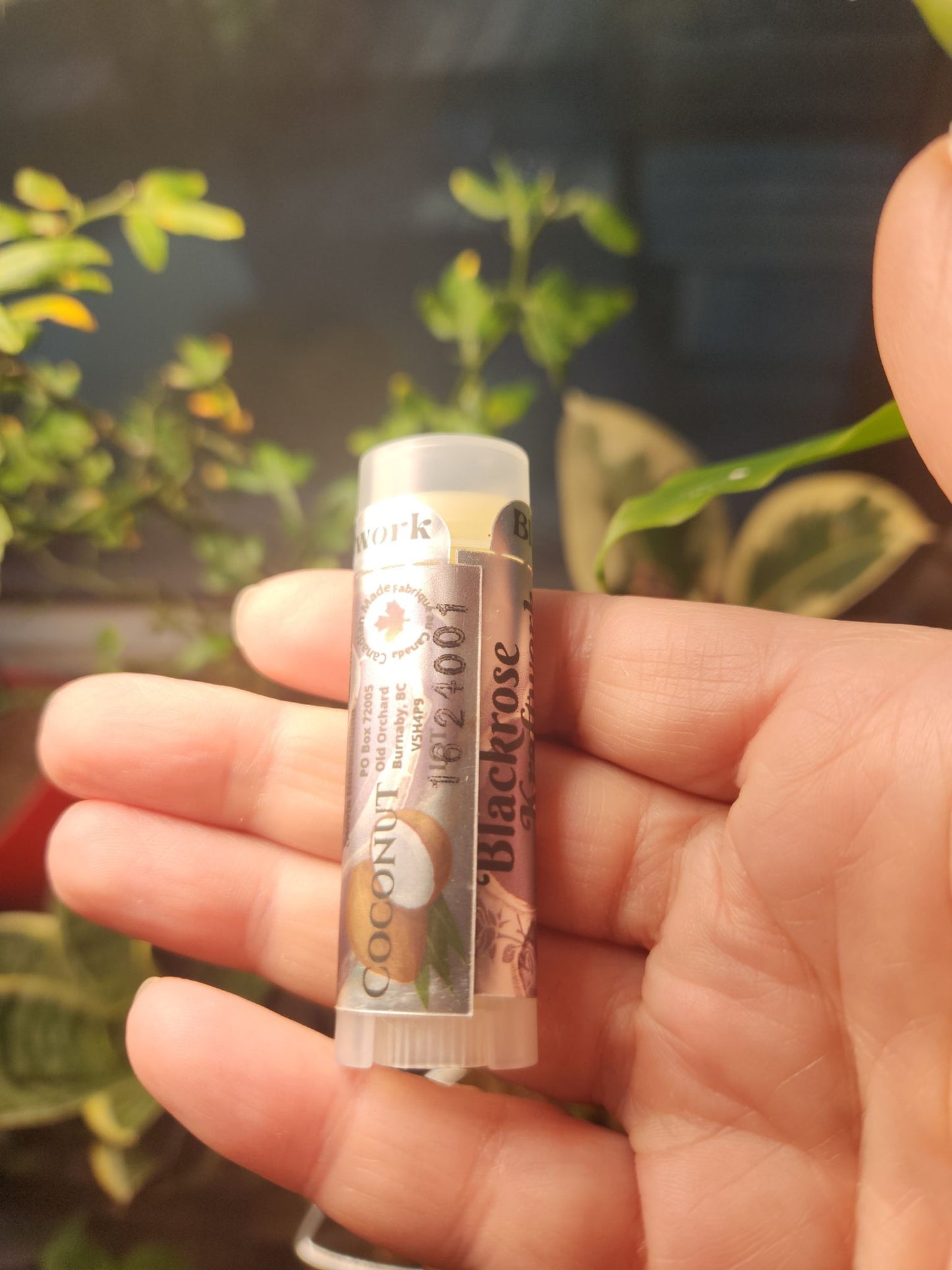 Coconut Lip Balm