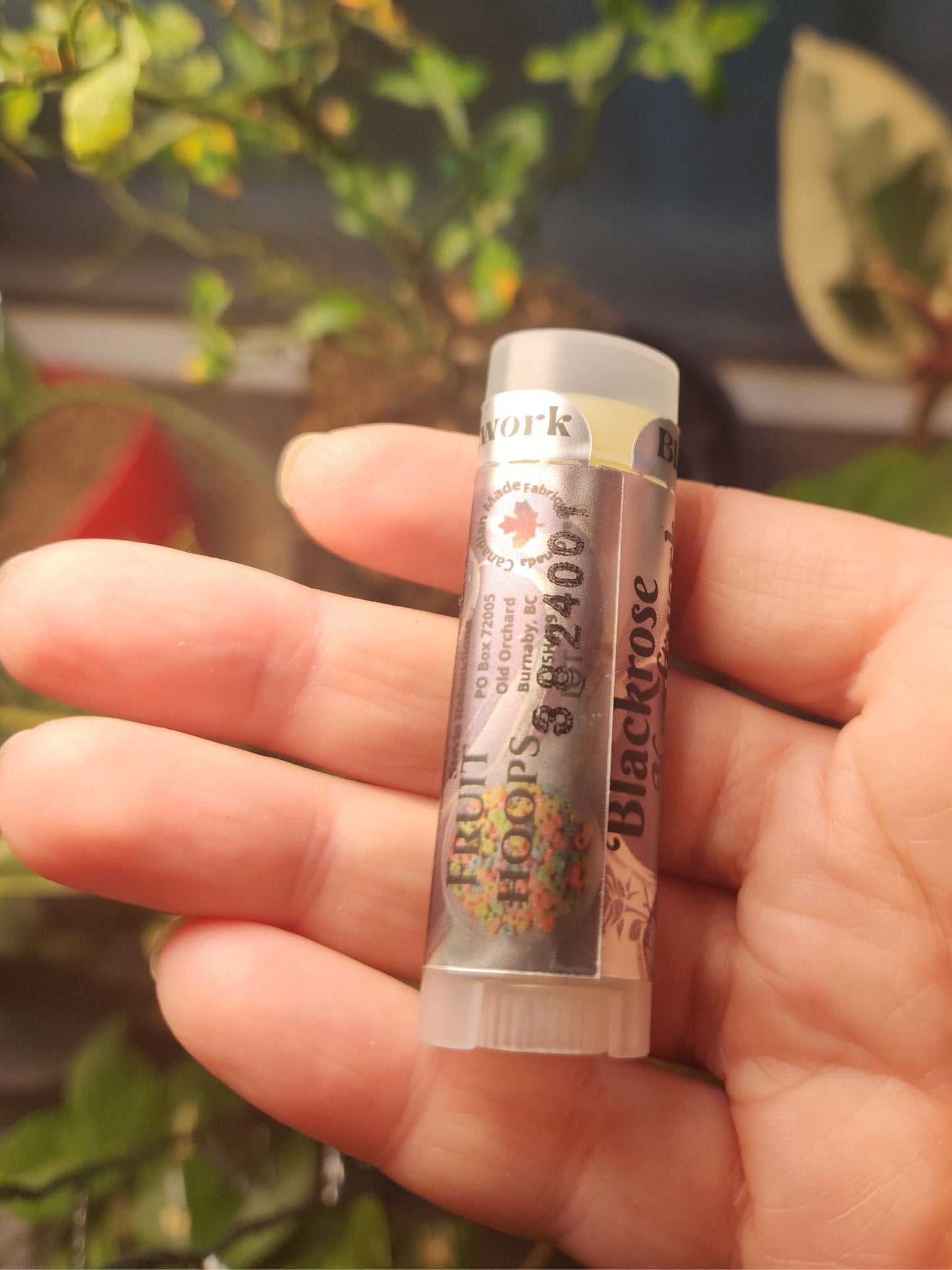 Fruit Hoops Lip Balm