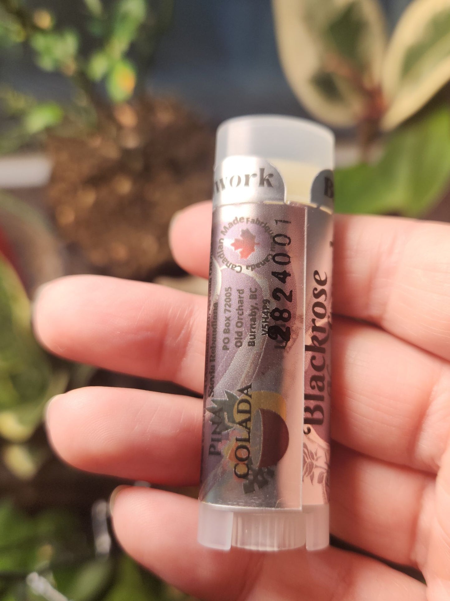 Pina Colada Lip Balm