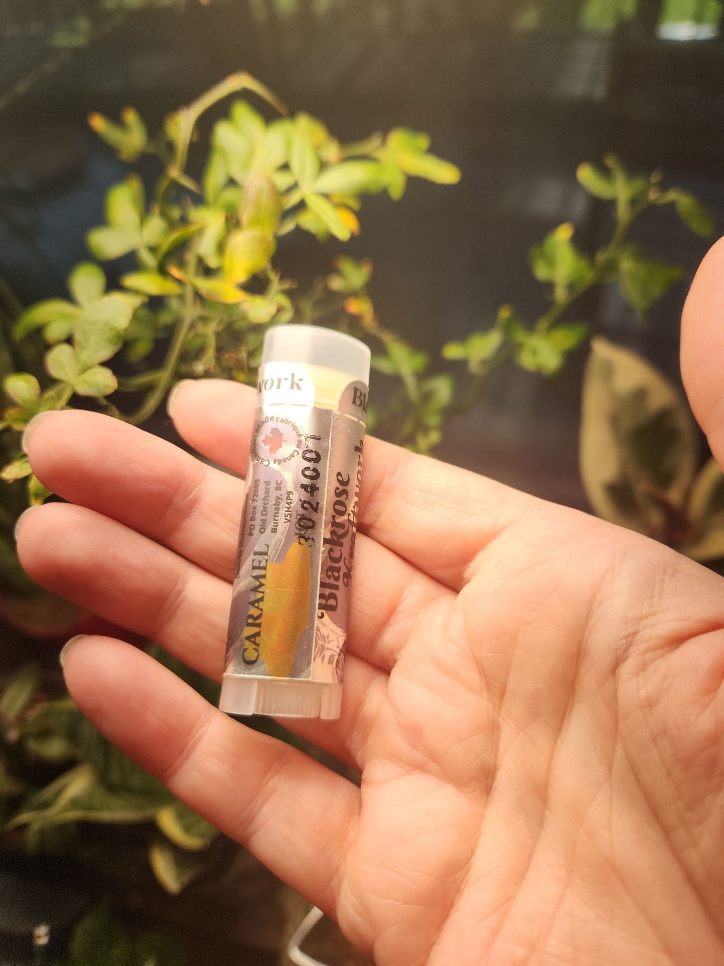 Caramel Lip balm