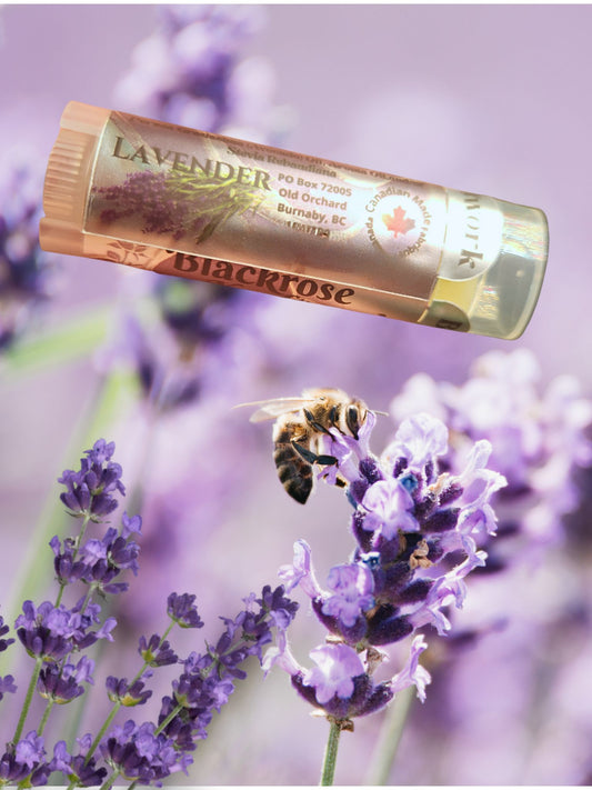 Lavender Lip Balm